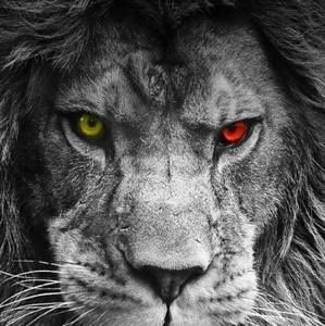 Meet your Posher, Jarodney